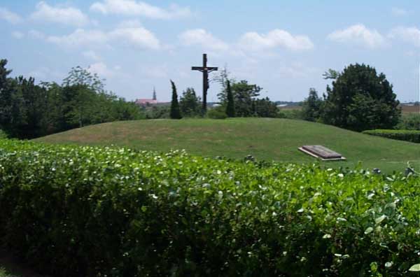 abbey17