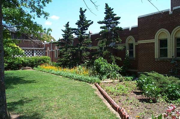 abbey19